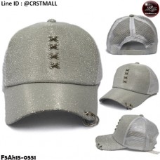 Silver mesh cap, mesh front, tie fashion rope, crocodile wing mesh cap, wing netting, tie loop, tie silver rope No.F5Ah15-0551